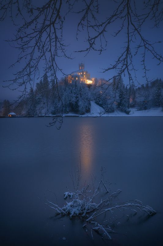 trakoscan, croatia, winter, snow, blue, hour, night  trakoscanphoto preview
