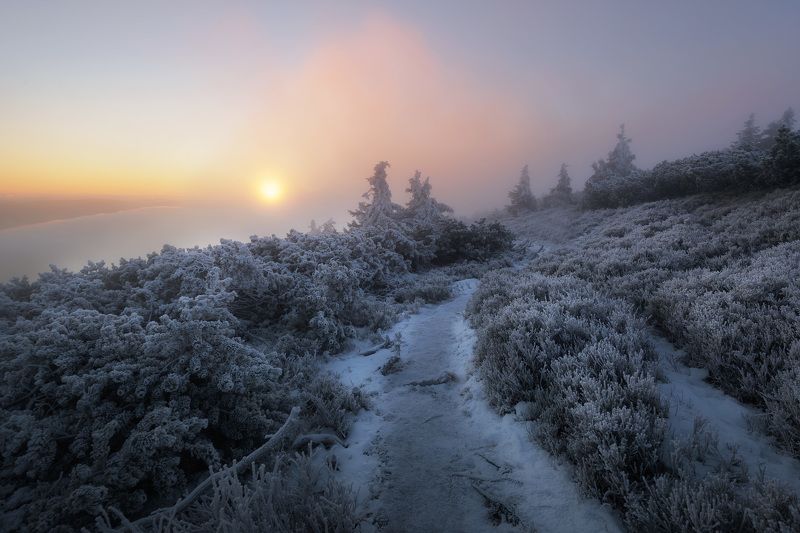 mountain, winter,snow,sunrise Red mountainphoto preview