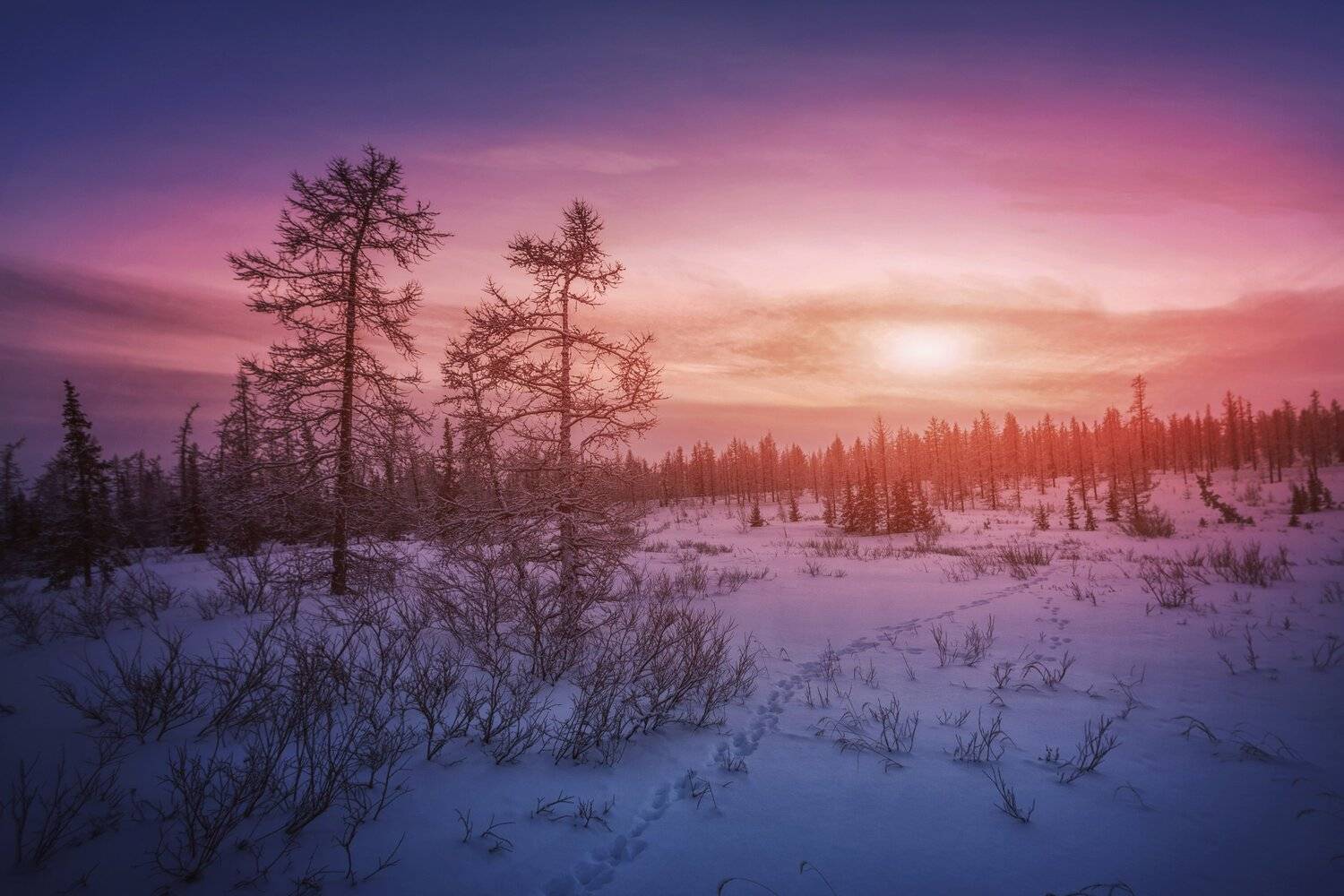 Суровая красота Ямала. Автор: Шевченко Николай озеро, горы, лес, природа, закат, рассвет, красота, приключения, путешествие, облака, Шевченко Николай