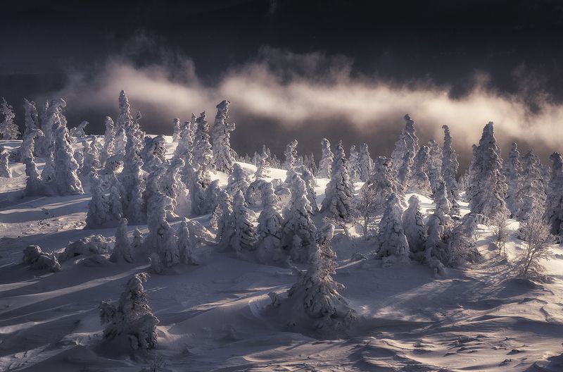 Мракphoto preview