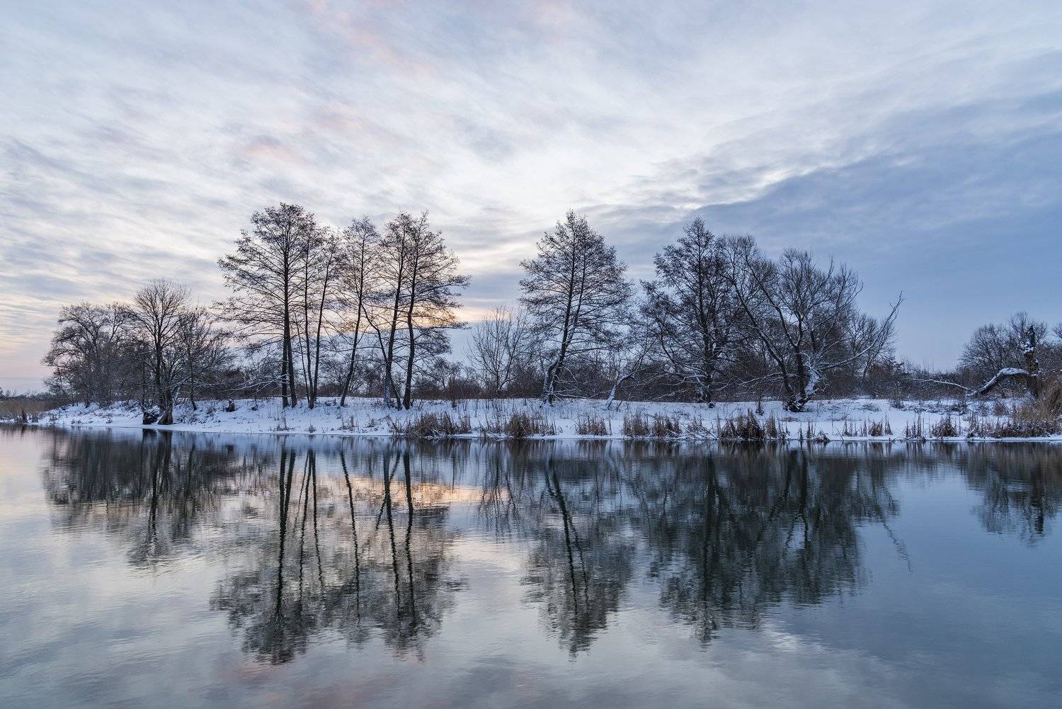 Февральские отражения. Автор: Дмитрий Новоселов , Дмитрий Новоселов