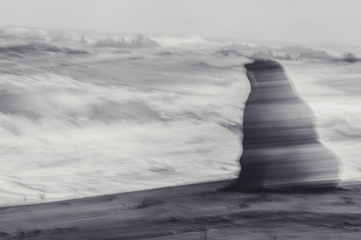 морской котик, беренга, командорские острова , Евгения Кирпиченкова (Клипп)