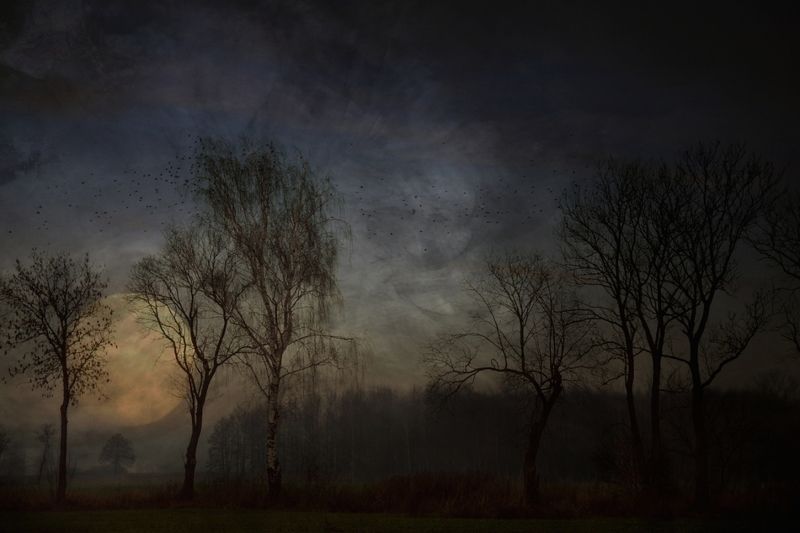 The Moon Fieldphoto preview