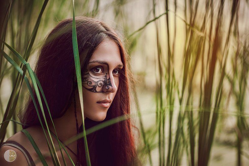 Сказки лесаphoto preview