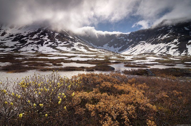 На празднике Весныphoto preview