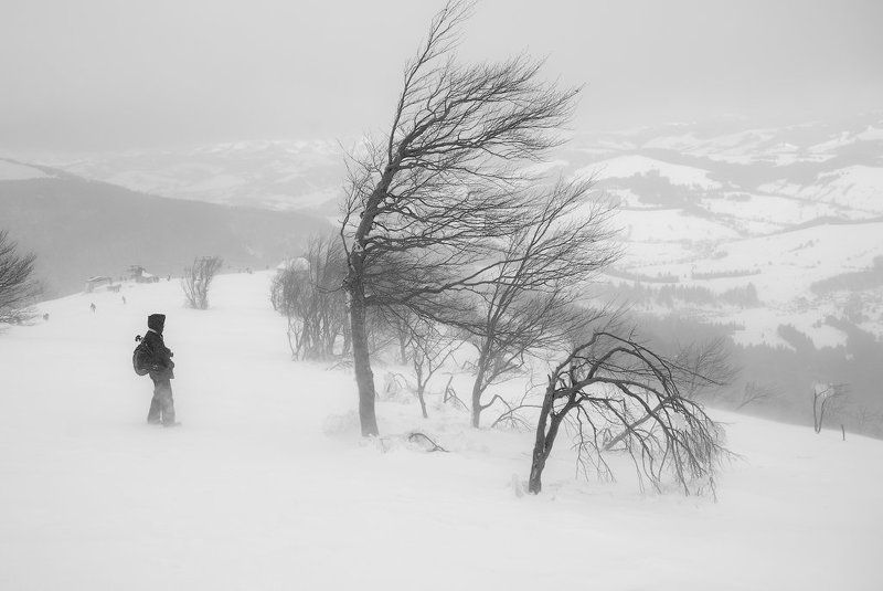 Карпаты Стихияphoto preview