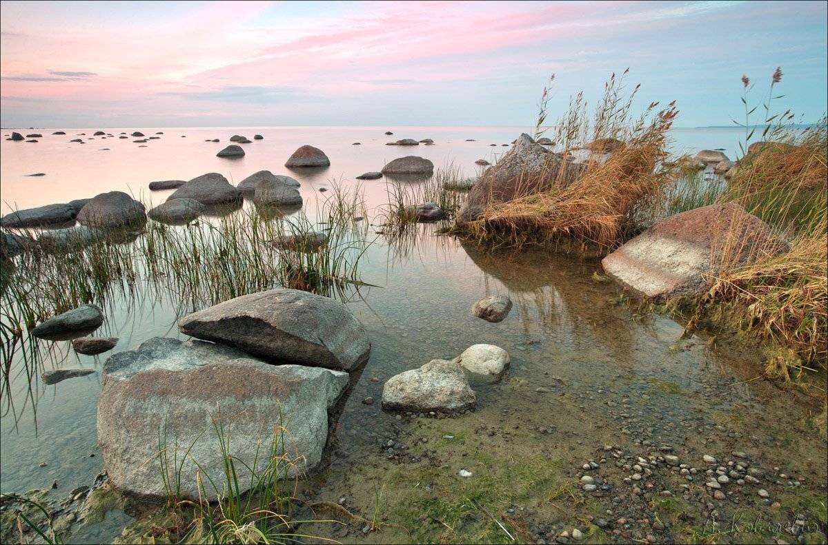 , Ковалевич А.