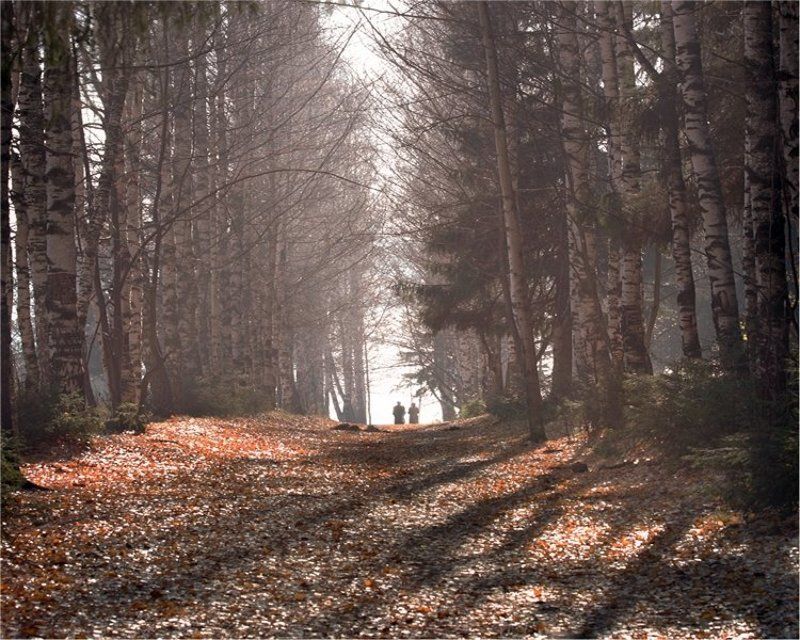 ..осень жизни... фото превью