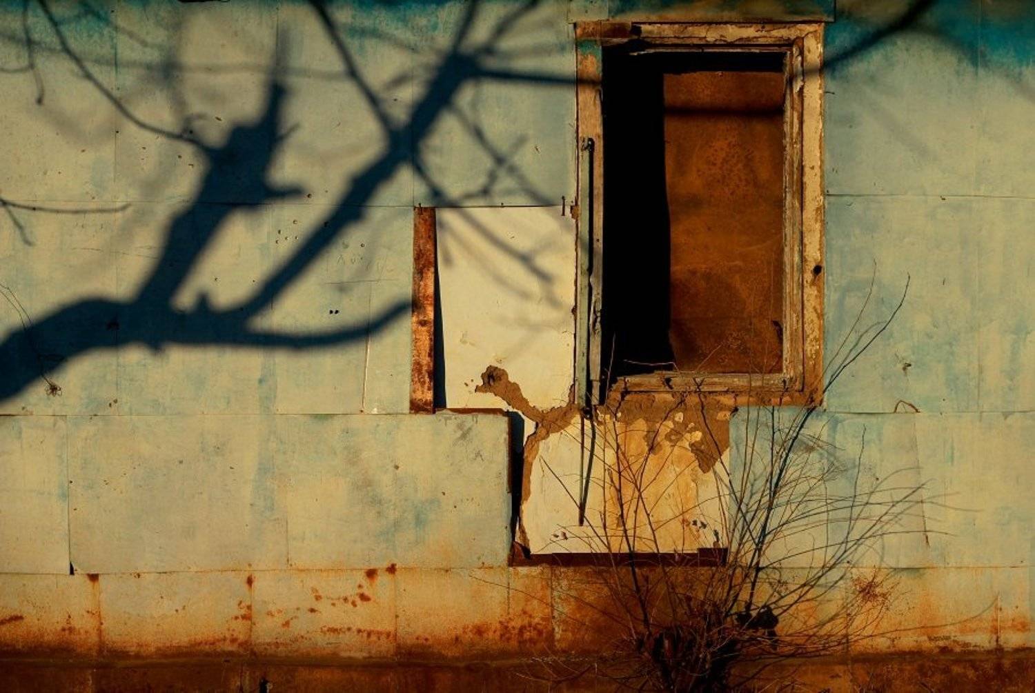 ///. Автор: Сюзанна Шевченко , Сюзанна Шевченко