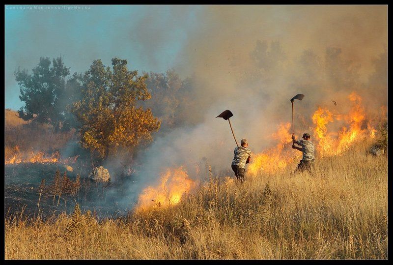 О степных пожарныхphoto preview