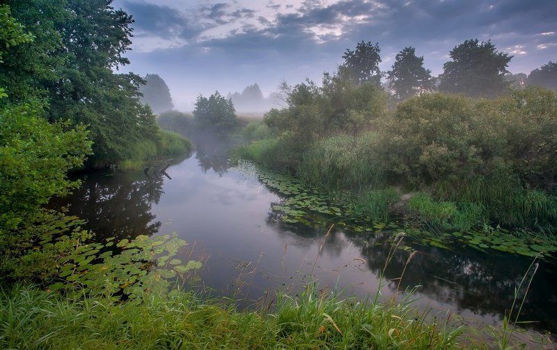 Радость утренней прохладыphoto preview