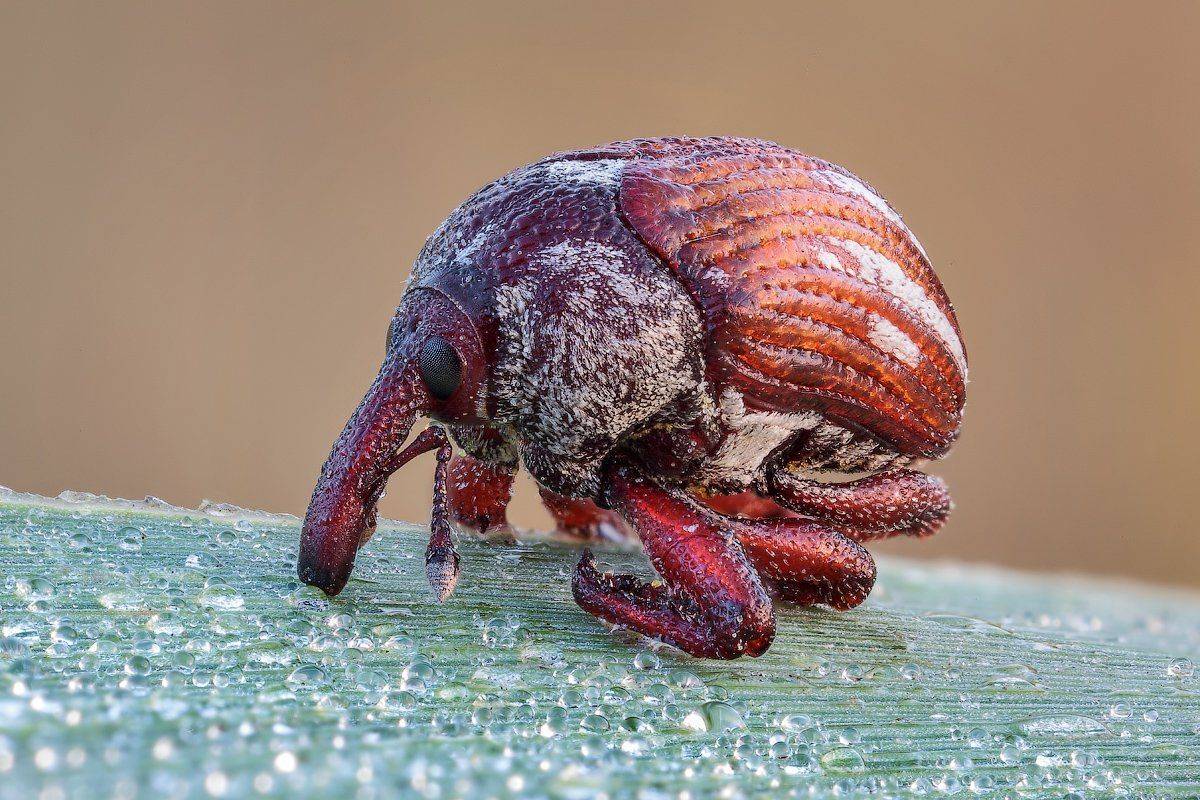 , Вадим Ходаковский