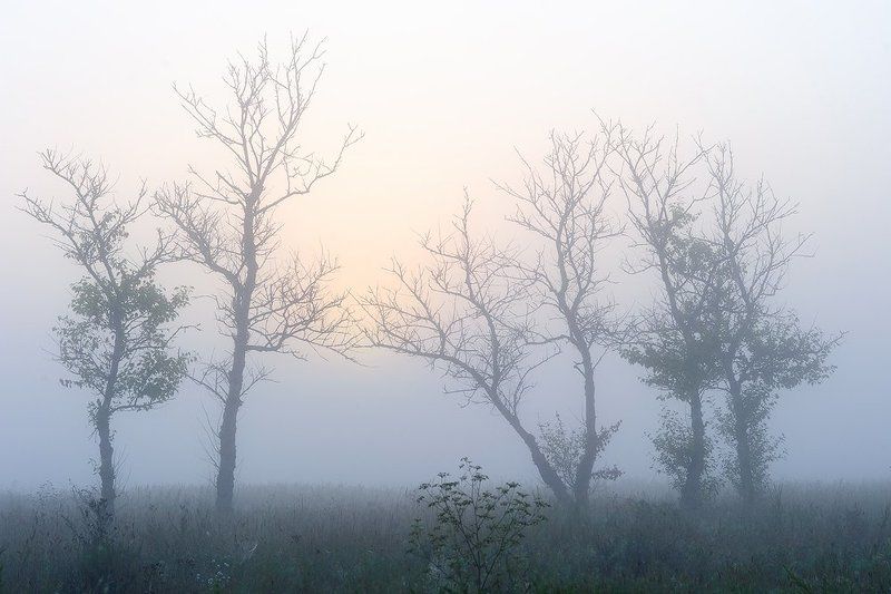 Туманphoto preview