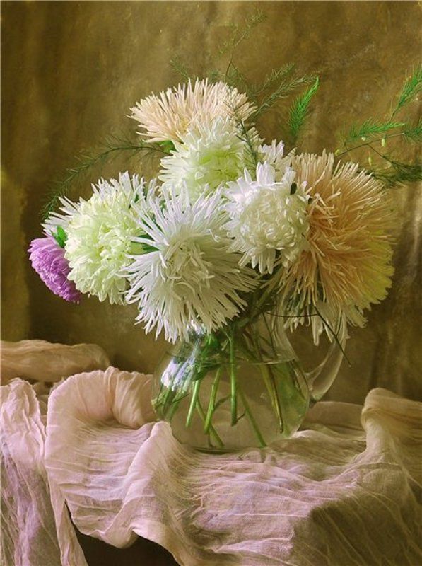 Астрыphoto preview