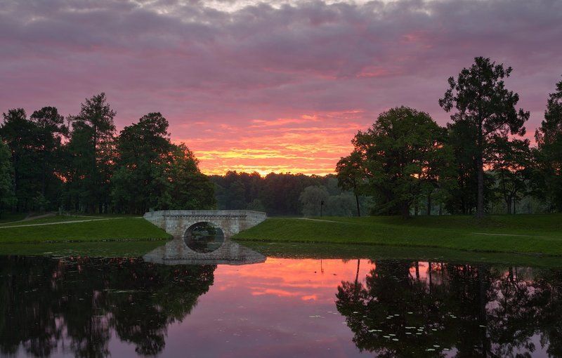гатчина, утро, рассвет, дворцовый парк, карпин пруд, мост Гатчина: Карпин пруд фото превью