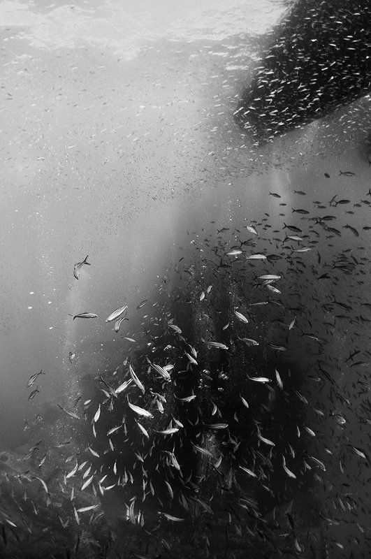 Призрак войныphoto preview