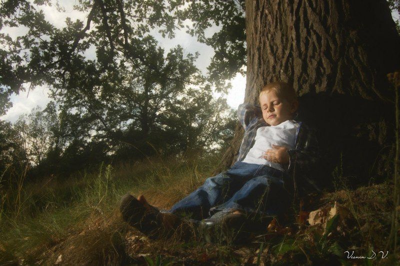 Димкаphoto preview