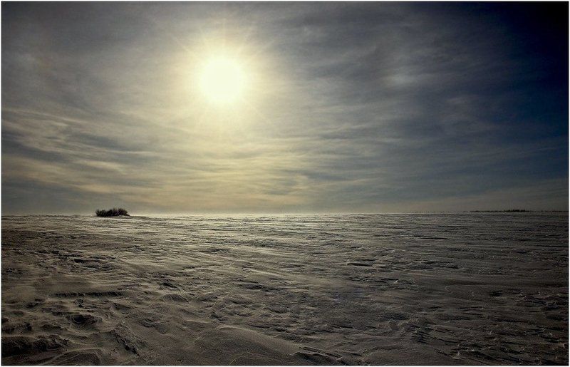 февраль.начало   буранаphoto preview