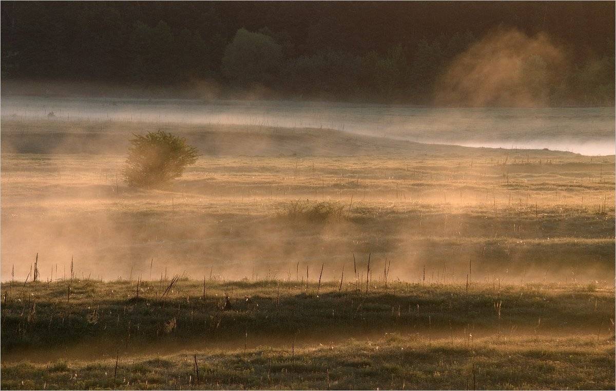 , Николай Шахманцир