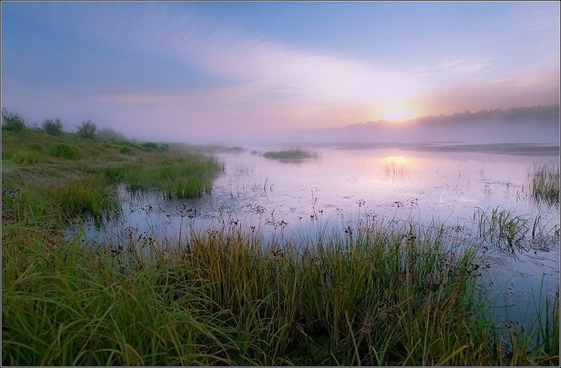 Ветлуга, Рассвет Утро на Ветлугеphoto preview