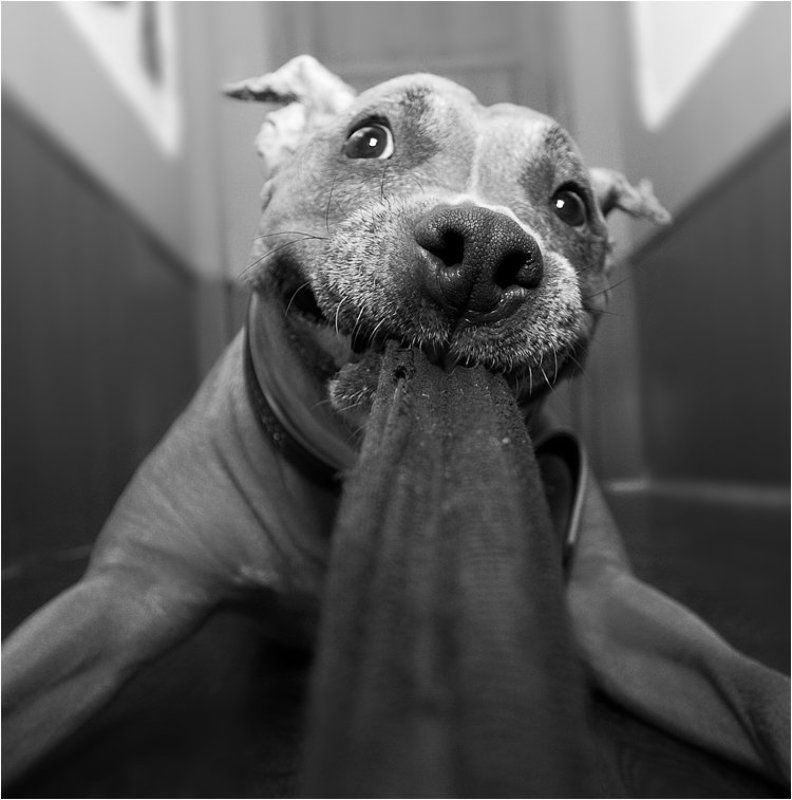 the best friendphoto preview