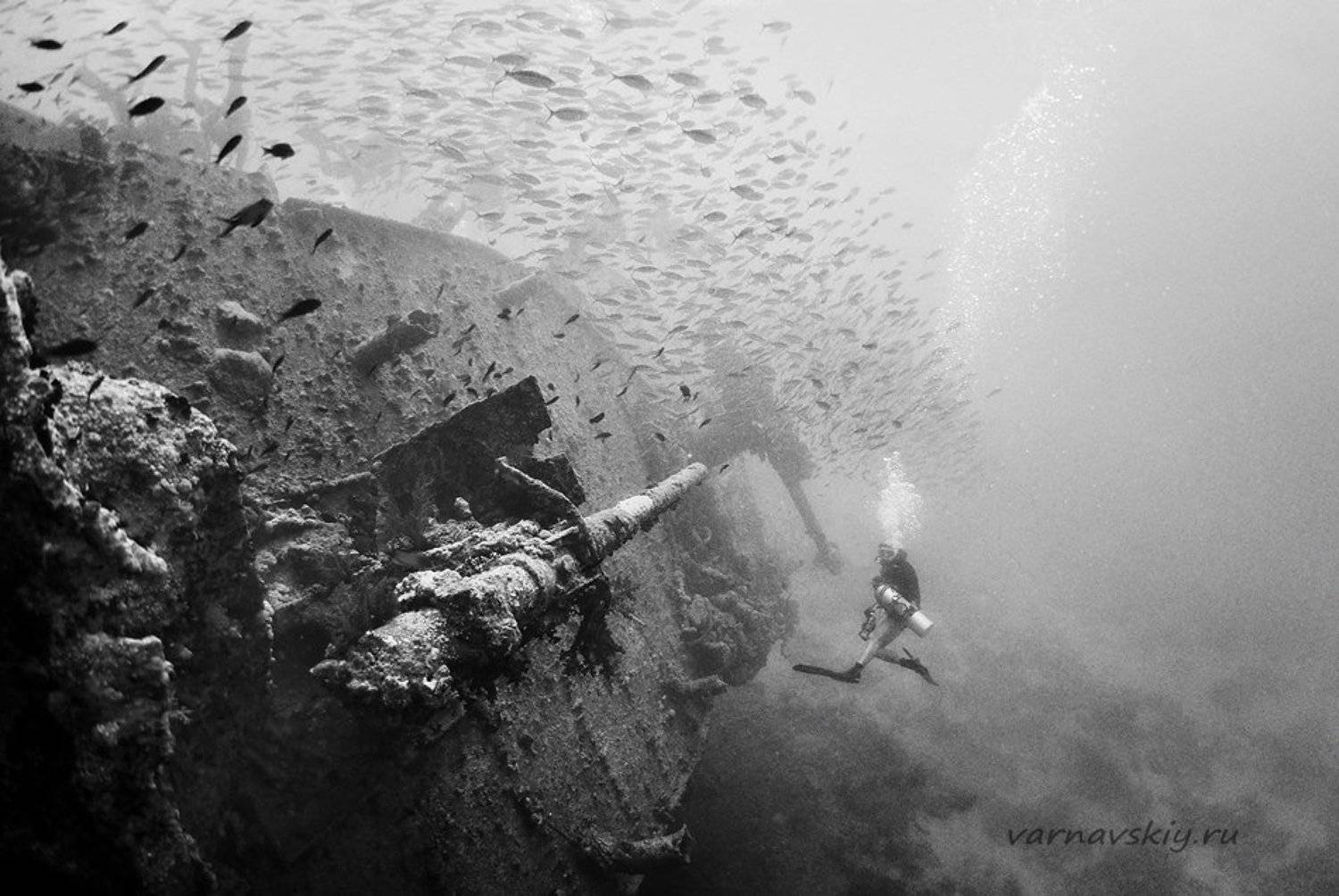 Поверженная артиллерия. Автор: Евгений Варнавский , Евгений Варнавский