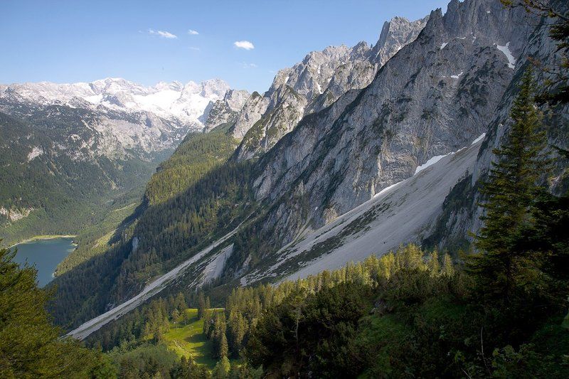 Austria, Gosau, Австрия, Госау, Снежная лавина Через 8 лет после лавиныphoto preview
