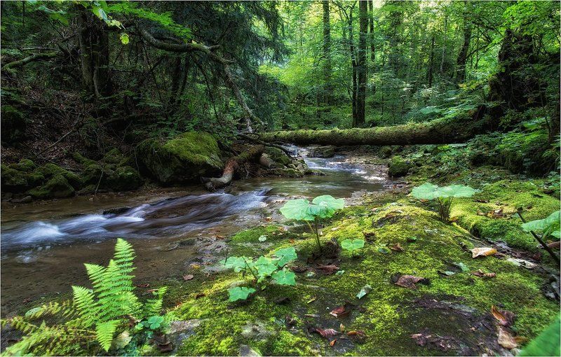 Скромная красота Мезмайкиphoto preview