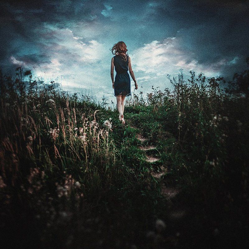 follow me to the skyphoto preview