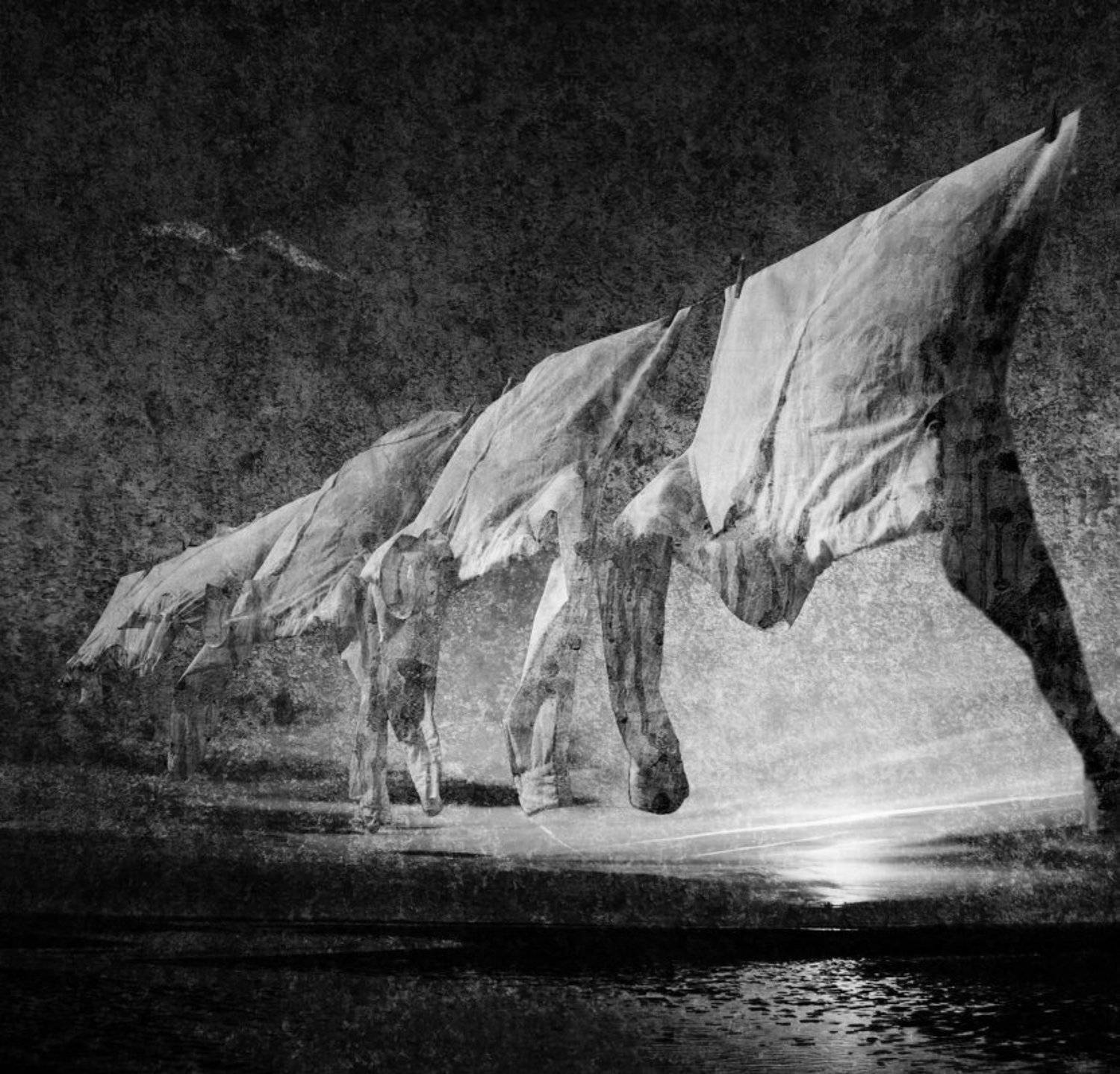 Fly Away. Автор: Emilis Baltrusaitis , Emilis Baltrusaitis