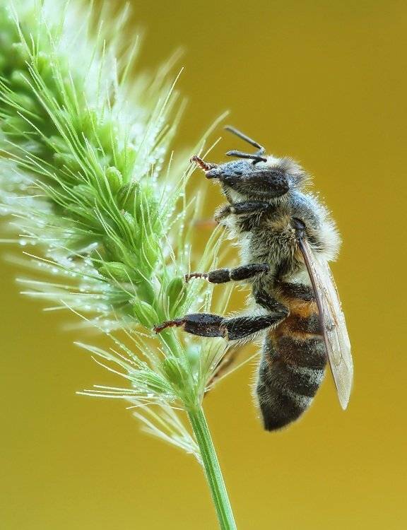 , Александр