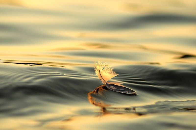 Cерфингphoto preview