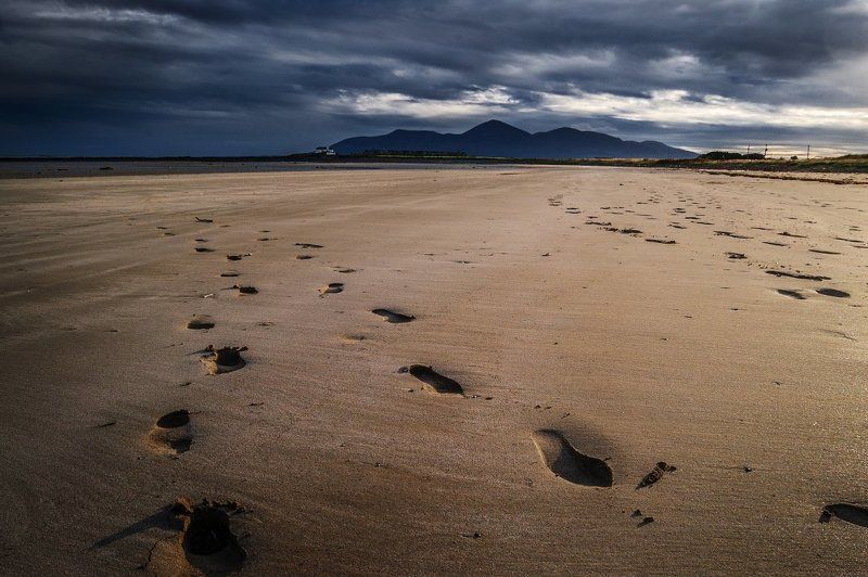 Wild Beachphoto preview