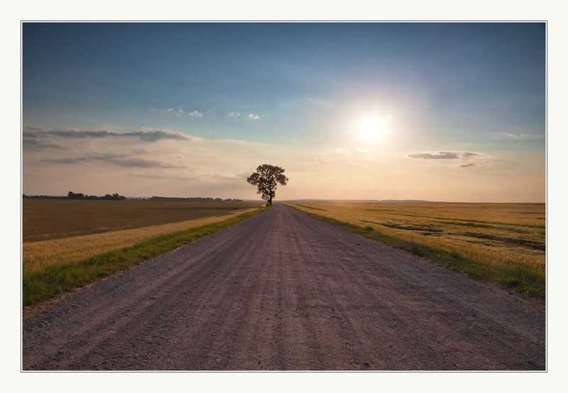 Знойный вечер... фото превью