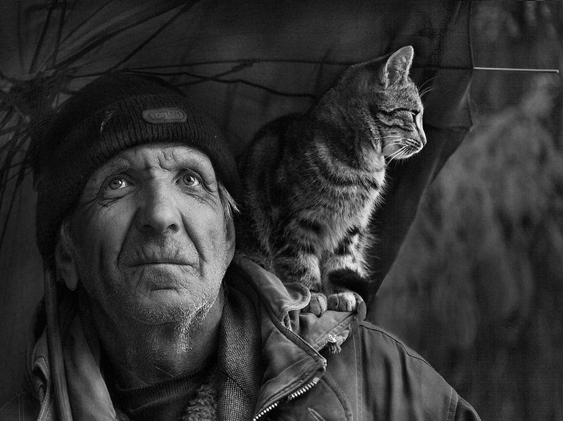 старик, кот, зонт Под одним зонтом.photo preview