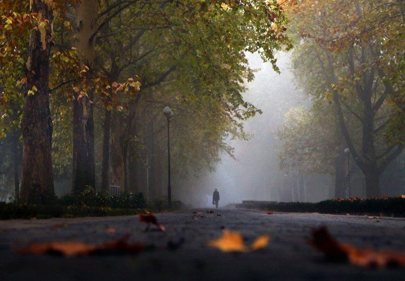 осень, туман, аллея, сквер На работуphoto preview