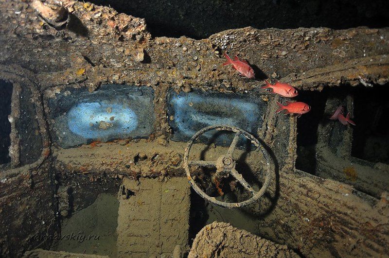 thistlegorm Последний рейсphoto preview