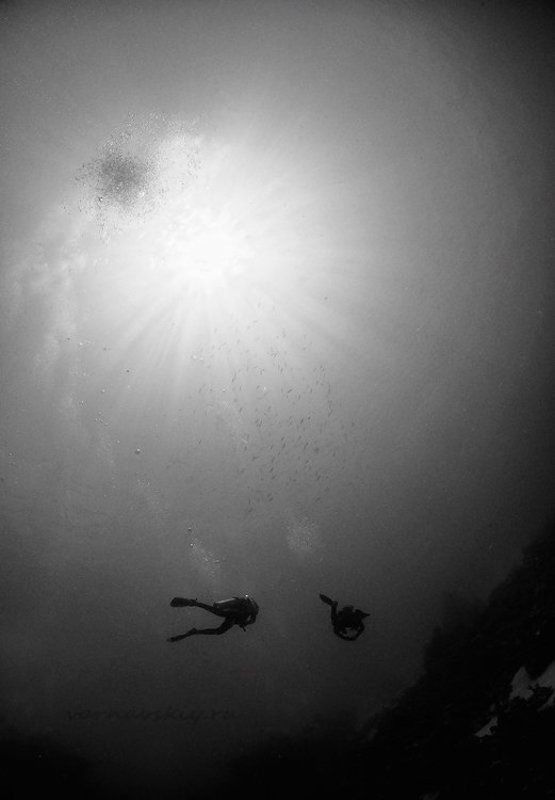 Под солнцемphoto preview