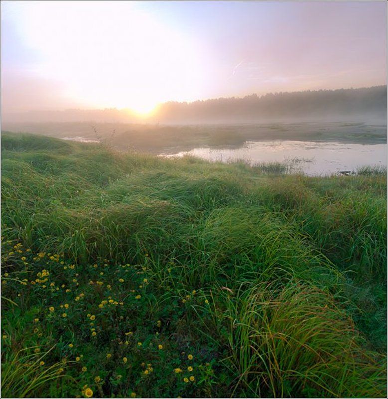 Рассвет Разнотравнаяphoto preview