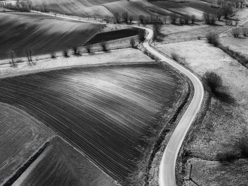 Ponidziephoto preview