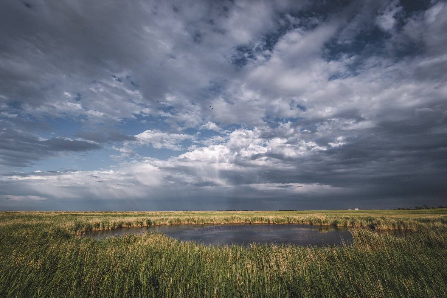 После дождя. Автор: Денис Храмеев , Денис Храмеев