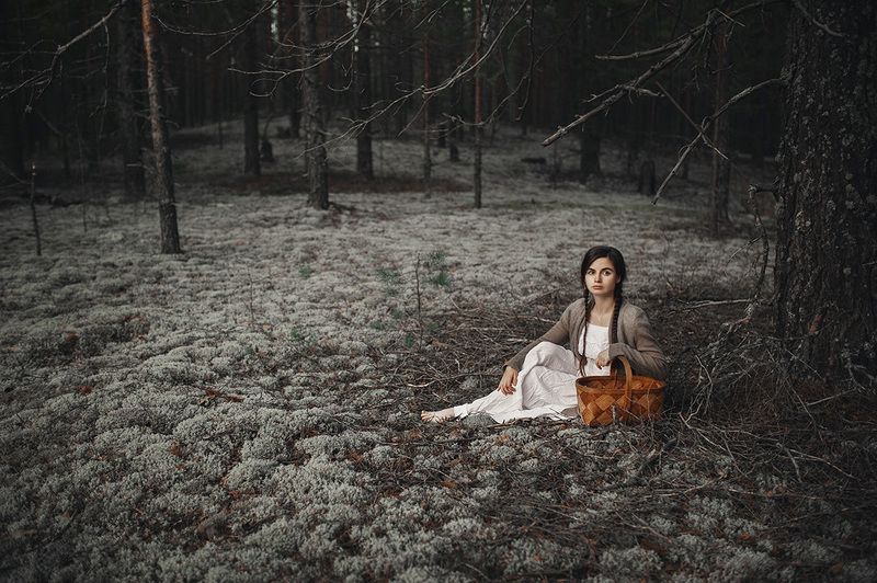 лес, удмуртия, мох Сказочный лесphoto preview