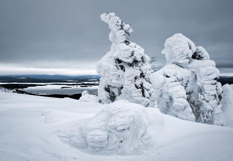 Заполярные сумеркиphoto preview