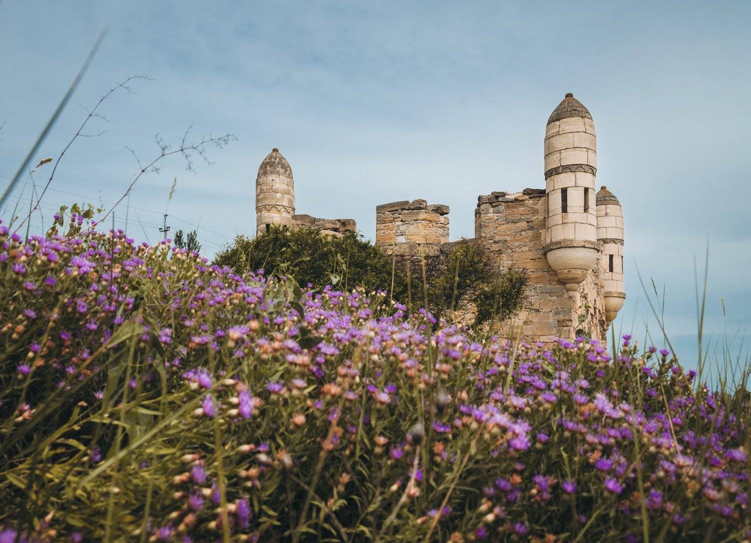 О крепости июньских мемуаров.. Автор: Анатолий Щербак лето, архитектура, древность, старина, крепость, ени-кале, османская империя, генуя, керчь, крым, россия, анатолий щербак, Анатолий Щербак