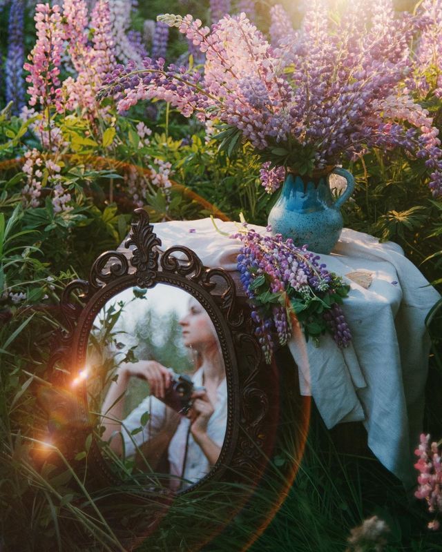 лето, люпины, закат, природа photo preview