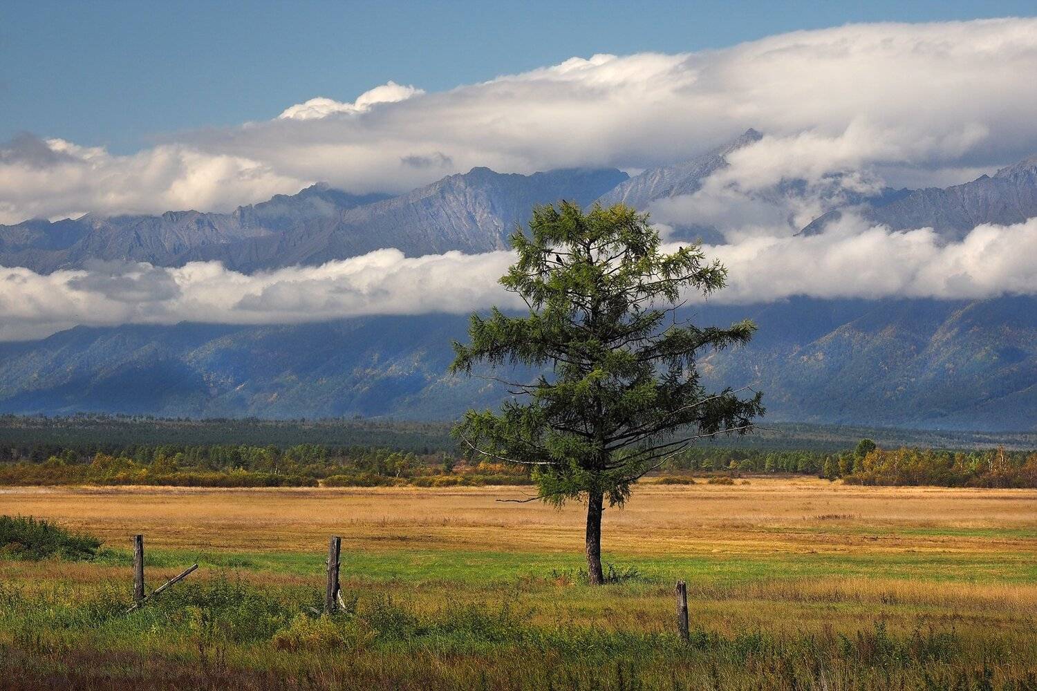, Александр Попов