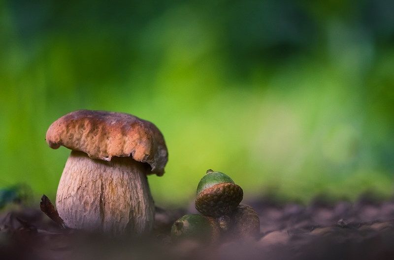 Тихая охотаphoto preview