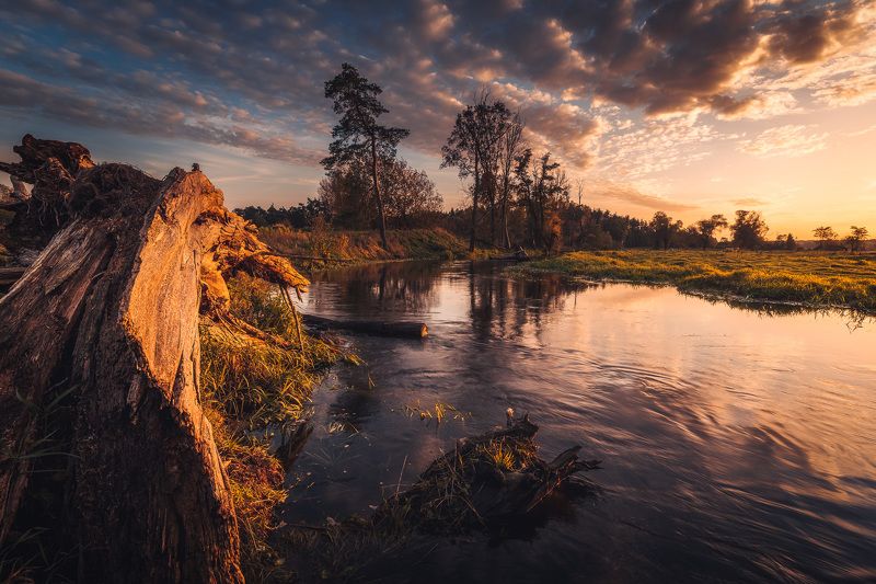 Memory of autumnphoto preview