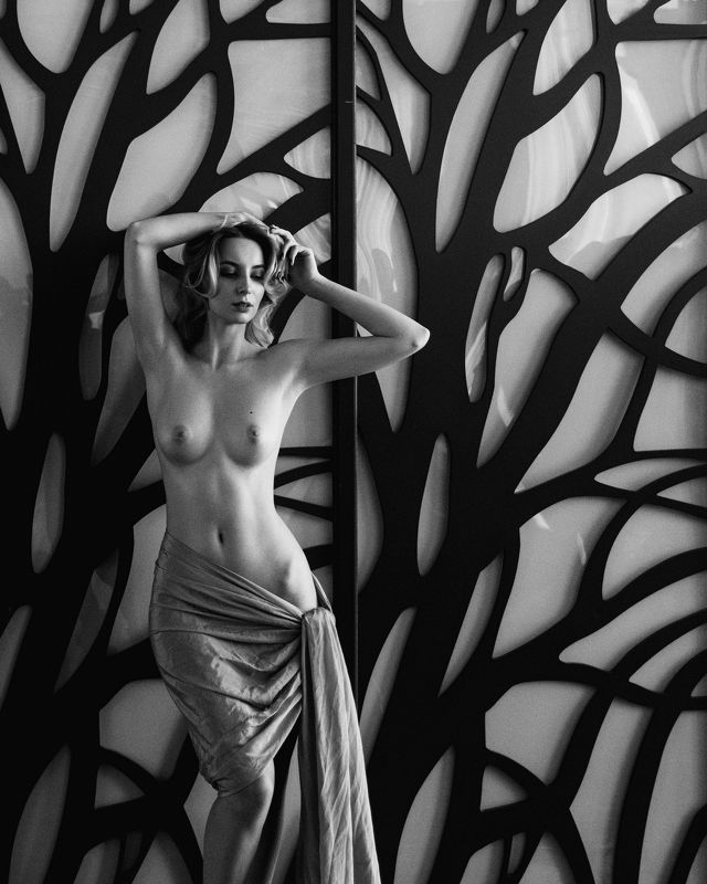 nude, artnu, nu, art, girl, portrait, топлесс, портрет, ню, монохром, черно-белая фотография Alinaphoto preview