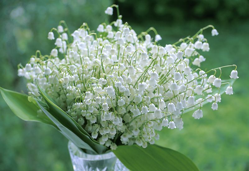 Весна 2photo preview